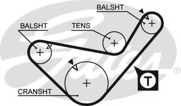 Ремінь ГРМ GATES 5436XS